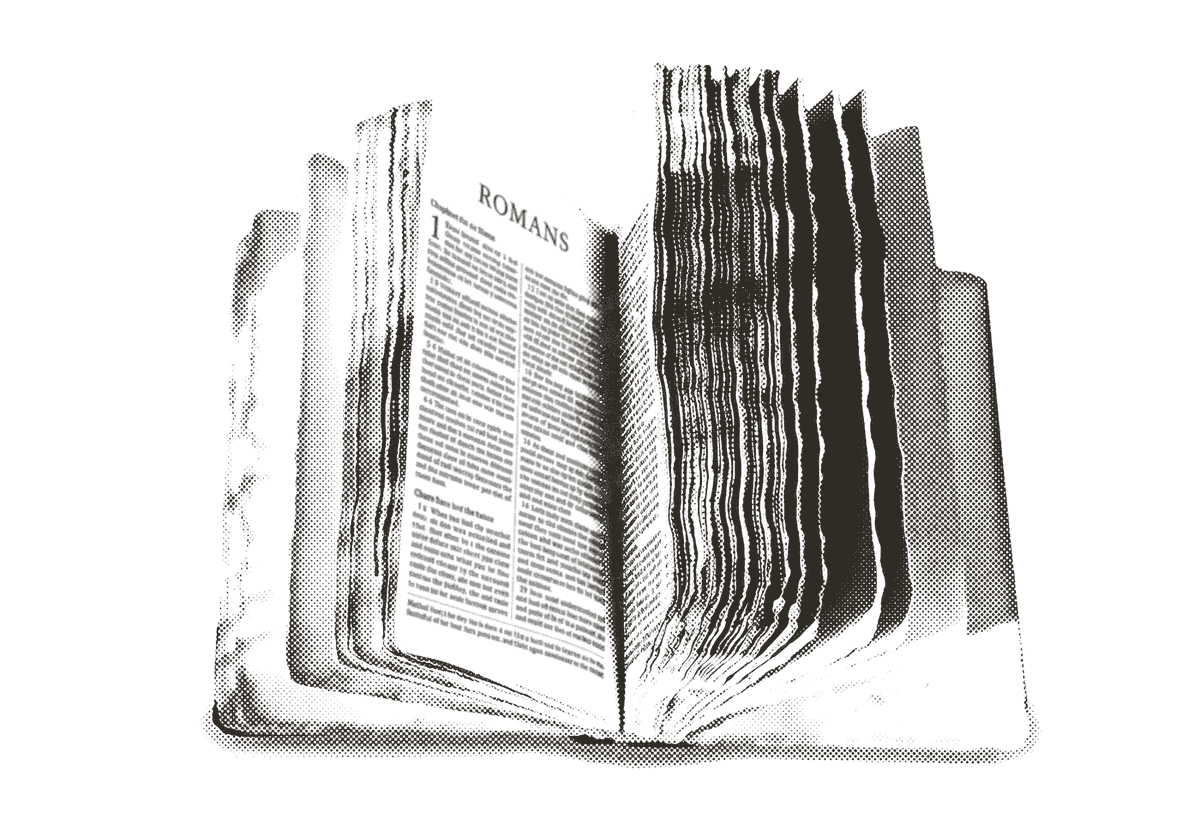 An open book, rendered in halftone